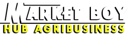 marketBoy_logo
